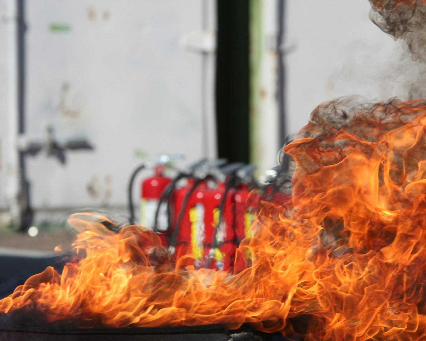 Praktische Brandschutzhelferausbildung mit Firetrainer bei Zoonz